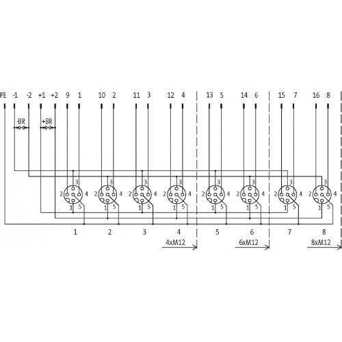 276596 MVP12, 8XM12, 5POLE, PLUG. TERM.