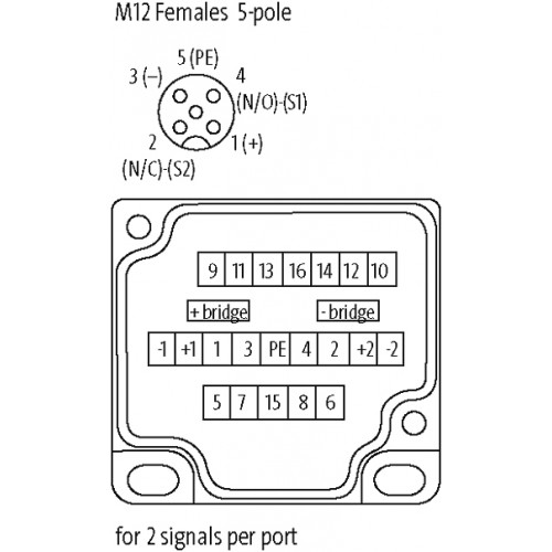 27775 MVP12, 8XM12, 5POLE, PLUG. CAP SCT.