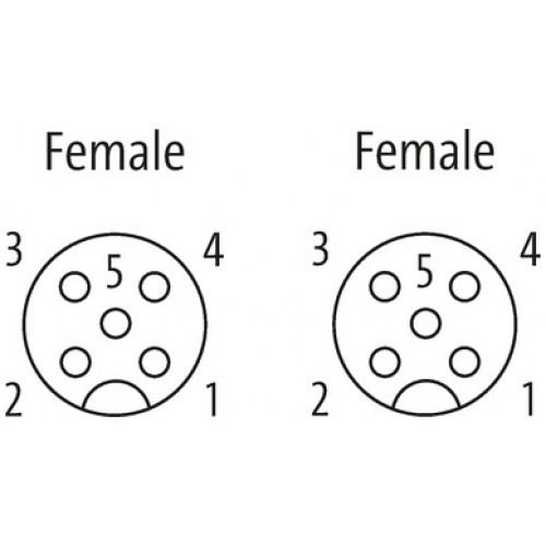 7005-40051-6250290 M12 female 0° / M12 female 0° A-cod. Lite
