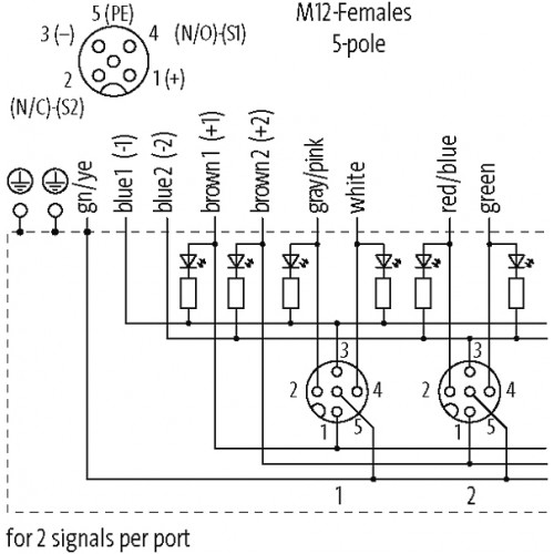 8000-58610-4031000 MVP-METALL, 8XM12, 5POLE, PRE-WIRED CABLE