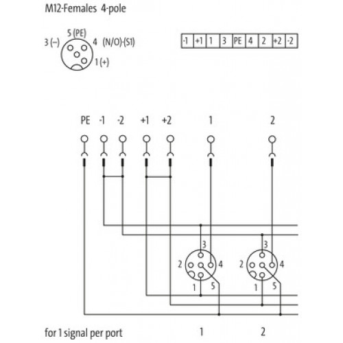 8000-84452-0000000 EXACT12, 4XM12, 4 POLE CAP, PLUG. SCREW TERM.