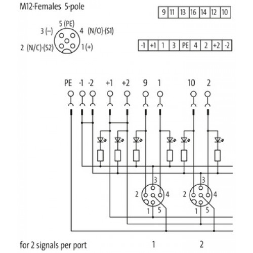 8000-84550-0000000 EXACT12, 4XM12, 5-POLE, CAP, PLUG. SCREW-TERM