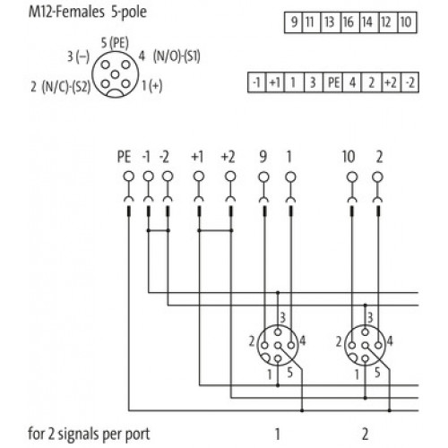 8000-84552-0000000 EXACT12, 4XM12, 5-POLE, CAP, PLUG. SCREW-TERM