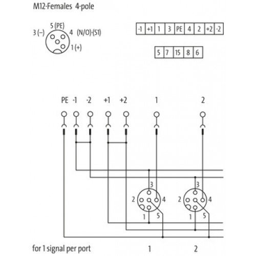 8000-88452-0000000 EXACT12, 8XM12, 4 POLE CAP, PLUG. SCREW TERM.