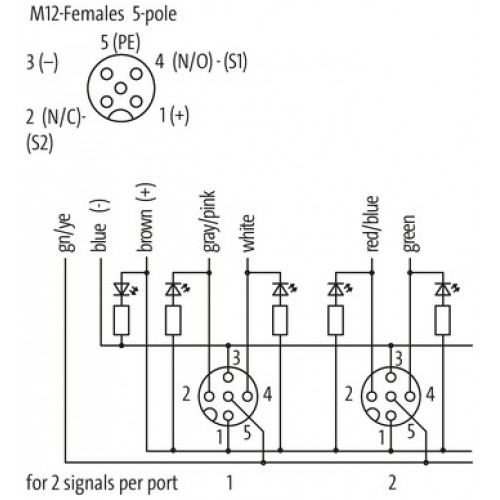 8000-88511-4521000 EXACT12, 8XM12, 5-POLE, MOULDED CABLE