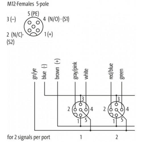 8000-88512-3981000 EXACT12, 8XM12, 5-POLE, MOULDED CABLE