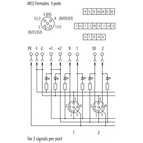 8000-88551-0000000 EXACT12, 8XM12, 5-POLE, CAP, PLUG. SCREW TERM.