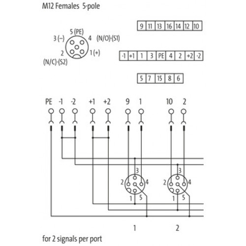 8000-88552-0000000 EXACT12, 8XM12, 5-POLE, CAP, PLUG. SCREW TERM.