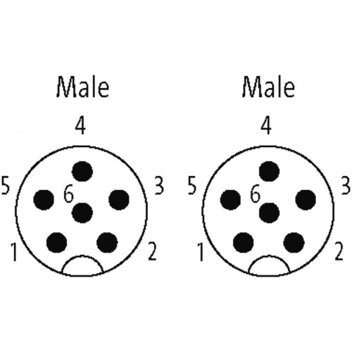 341946 M12 male / M12 male 90° shielded Cube67