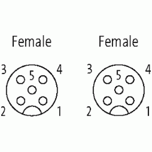 7000-40051-1260300 M12 female 0° / M12 female 0° A-cod. 7000-40051-1260300 M12 female 0° / M12 female 0° A-cod.