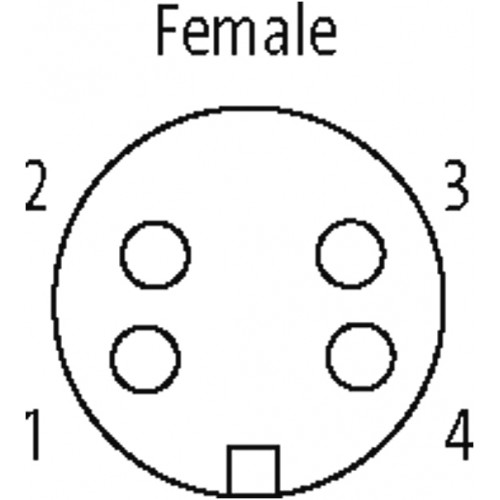 7000-78181-0000000 7/8'' FEMALE 0° FIELD-WIREABLE SCREW 7000-78181-0000000 7/8'' FEMALE 0° FIELD-WIREABLE SCREW